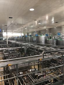 蒙牛工廠迎全球GDP代表參觀，以企業(yè)智慧夯實合作共贏之基